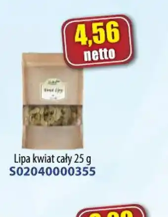 AT Lipa kwiat cały oferta