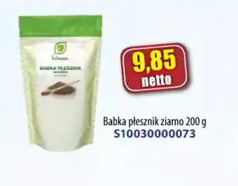 AT Babka płesznik ziarno oferta