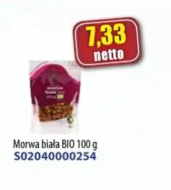 AT Morela biała BIO oferta