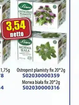 AT Ostrożeń plamisty i Morwa biała oferta