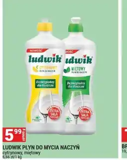 Merkury Market Ludwik Płyn do Mycia Naczyń oferta