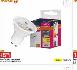 Merkury Market Zarówka LED Osram oferta