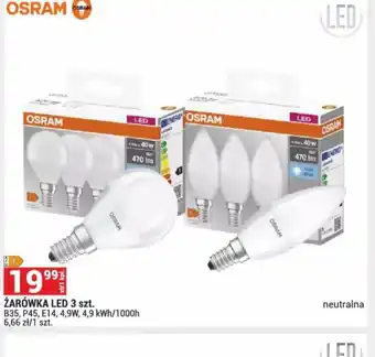 Merkury Market Zarówka LED Osram oferta