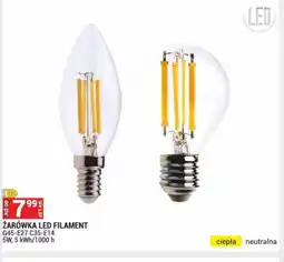 Merkury Market Zarówka LED Filament oferta