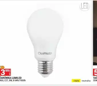 Merkury Market Zarówka Lumiled oferta