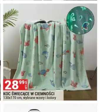 Merkury Market Koc świecący w ciemności oferta