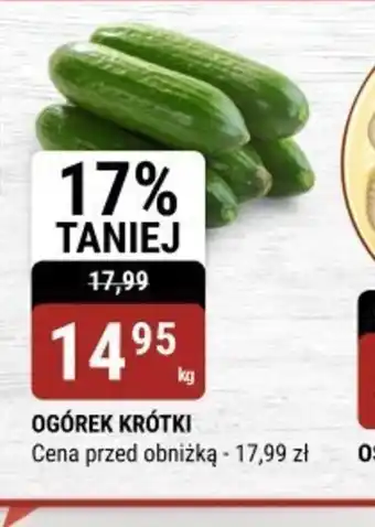 bi1 Ogórek krótki oferta