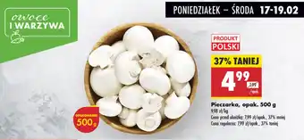 Biedronka Pieczarka, opak. 500 g oferta