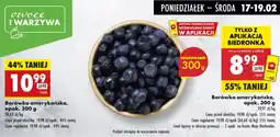 Biedronka Borówka amerykańska, opak. 300 g oferta