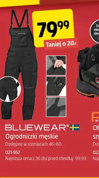 Jula BLUEWEAR® Ogrodniczki męskie oferta