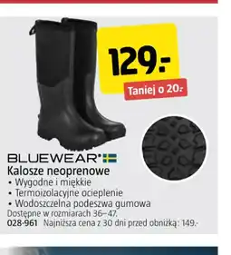 Jula Kalosze neoprenowe Bluewear oferta