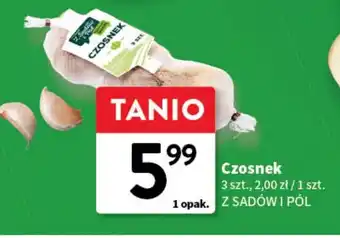 Intermarche Czosnek Z Sadów I Pól oferta