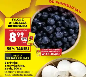 Biedronka Borówka amerykańska oferta