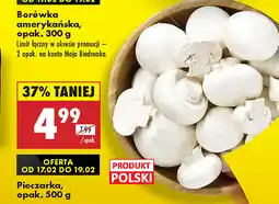 Biedronka Pieczarki 500g oferta