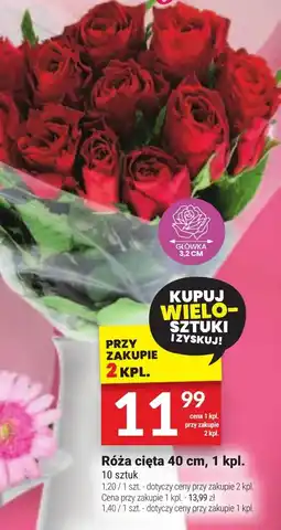 Twój Market Róża cięta oferta