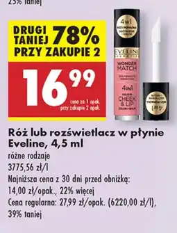 Biedronka Rozświetlacz Eveline Cosmetics oferta