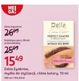 Rossmann Mydło do brwi stylizująco-pielęgnujące Delia Eyebrow Expert oferta