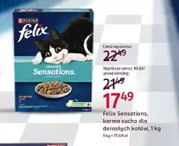 Rossmann Karma dla kota z łososiem Purina Felix Sensations oferta