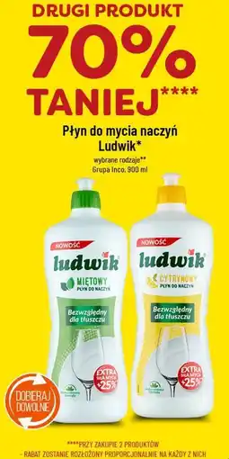 Polomarket Płyn do mycia naczyń Ludwik oferta