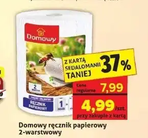 Sedal Ręcznik papierowy Domowy oferta