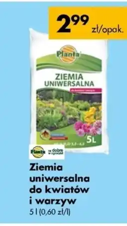 Mrówka Ziemia uniwersalna do kwiatów Planta oferta