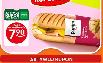 Żabka Panini z szynką i jalapeno Żabka cafe oferta