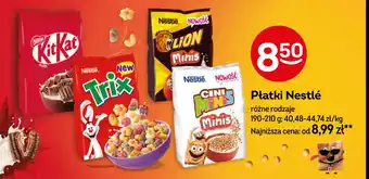 Żabka Płatki minis Lion oferta