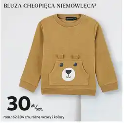 Auchan Bluza chłopięca oferta