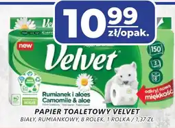 Top Market Papier toaletowy velvet oferta