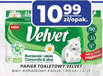 Top Market Papier toaletowy velvet oferta