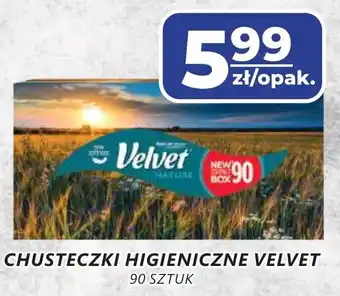 Top Market Chusteczki higieniczne velvet oferta