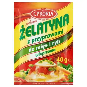 Dino Cykoria Żelatyna z przyprawami do mięs i ryb wieprzowa 40 g oferta