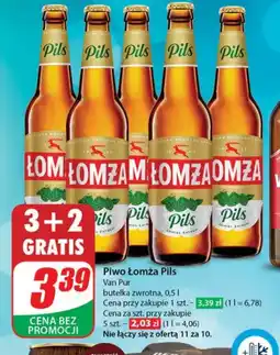 Dino Piwo Łomża oferta