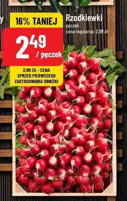 Polomarket Rzodkiewka oferta