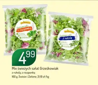 Avita Mix świeżych sałat Grzeskowiak oferta