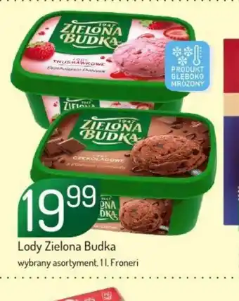 Avita Lody Zielona Budka oferta