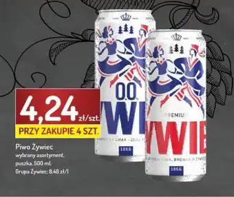 Avita Piwo Zywiec oferta