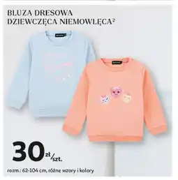 Auchan Bluza dresowa dziewczęca oferta