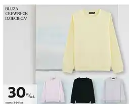 Auchan Bluza crewneck dziecięca 3-14 lat Inextenso By Auchan oferta