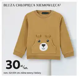 Auchan Bluza niemowlęca chłopięca oferta