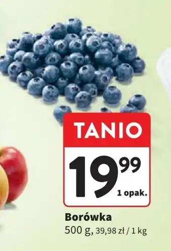 Intermarche Borówka amerykańska oferta