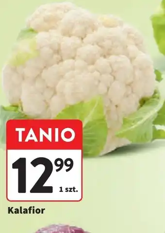 Intermarche Kalafior oferta