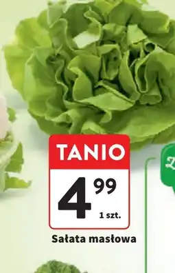 Intermarche Sałata masłowa oferta