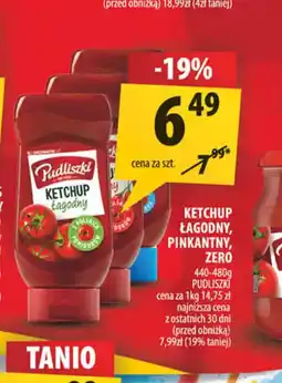 Arhelan Ketchup Passatore oferta