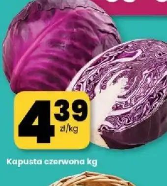 EMMA market Kapusta czerwona oferta