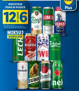 Lidl Wszystkie piwa w puszce oferta