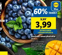 Lidl Borówki amerykańskie oferta