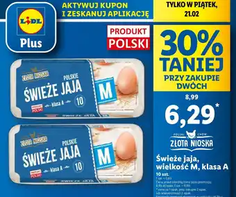 Lidl Jaja swieze kl. m Złota Nioska oferta