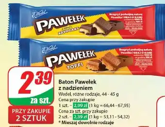 Dino Baton advocat E. Wedel Pawełek oferta