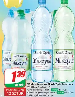 Dino Woda gazowana Muszyna Skarb Życia oferta